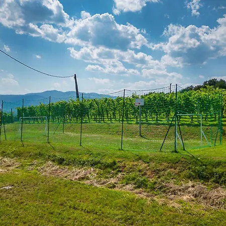 Vineyard Lan On The Hill - Happy Casa vacanze Semic